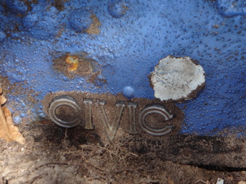 Schriftzug Civic auf Heckklappe