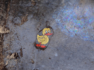 Sticker Ente auf Heckklappe